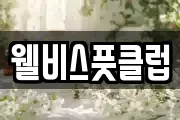 웰비스풋클럽