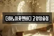 더하노이풋앤바디 고양삼송점