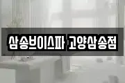삼송브이스파 고양삼송점