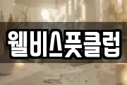 웰비스풋클럽