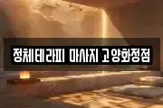 정체테라피 마사지 고양화정점