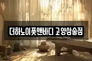 더하노이풋앤바디 고양삼송점