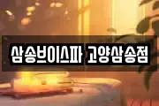 삼송브이스파 고양삼송점