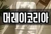 머레이코리아