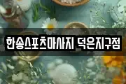 한송스포츠마사지 덕은지구점