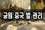 궁원 중국 발 관리