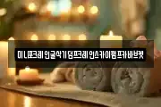 미니포크레인굴삭기덤프크레인스카이펌프카바브켓