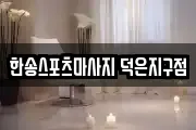 경기도 고양시 덕양구 화전동 마사지, 지압등 업체정보