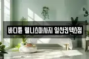 바디튠 웰니스마사지 일산킨텍스점