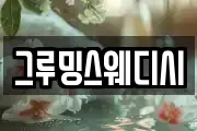 그루밍스웨디시