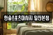 한송스포츠마사지 일산본점