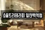 소울트리테라피 일산백석점