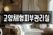 고양체형피부관리실