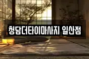 청담더타이마사지 일산점