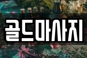 골드마사지