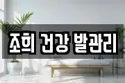 조희 건강 발관리