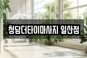 청담더타이마사지 일산점