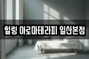 힐링 아로마테라피 일산본점
