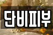 단비피부