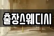 출장스웨디시