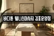 바디튠 웰니스마사지 김포운양점