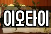 이오타이