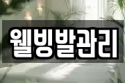 웰빙발관리