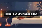 미니포크레인굴삭기덤프크레인스카이펌프카바브켓