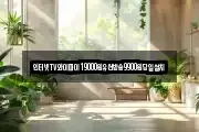 인터넷TV와이파이19000원유선방송9900원당일설치