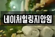 네이처힐링지압원