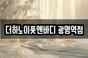더하노이풋앤바디 광명역점