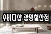 수바디샵 광명철산점