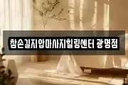 경기도 광명시 마사지, 지압등 업체정보