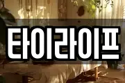 타이라이프