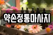 경기도 광명시 하안동 마사지, 지압등 업체정보