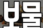 보물
