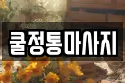 쿨정통마사지