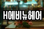 H에비뉴헤어
