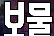 보물