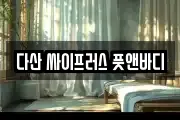 다산 싸이프러스 풋앤바디