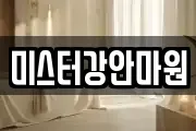 미스터강안마원
