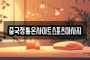 중국정통온사이트스포츠마사지