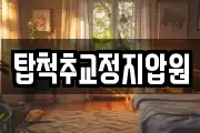 탑척추교정지압원