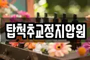 탑척추교정지압원