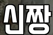 신짱