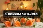 린나이경동귀뚜라미보일러분배기온수기수도배관