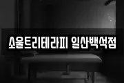 소울트리테라피 일산백석점