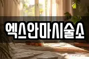 엑스안마시술소