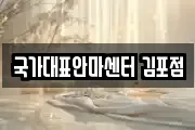 국가대표안마센터 김포점