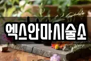 엑스안마시술소